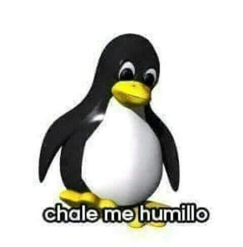 otrafanny_'s tweet image. Dato random sobre mi: No sé usar encendedores.

Bueno, pues mi bestie se pone a usar uno y a presumirme q si puede y yo: y a mi q? y entonces me dice: tal vez es algo q solo podemos hacer las personas q si supimos nacer (yo fui cesárea).

Mi honesta reacción: