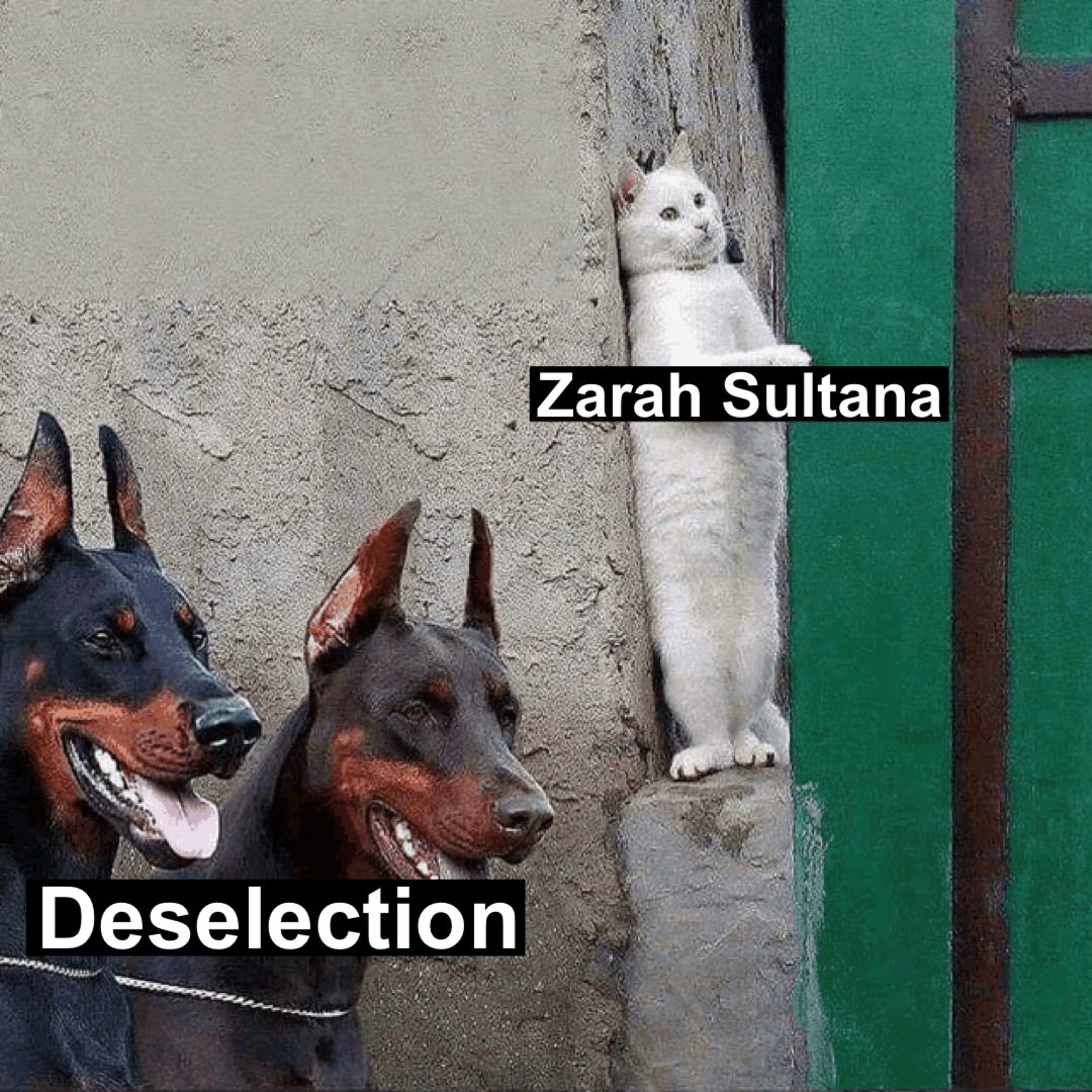 Zarah Sultana status :