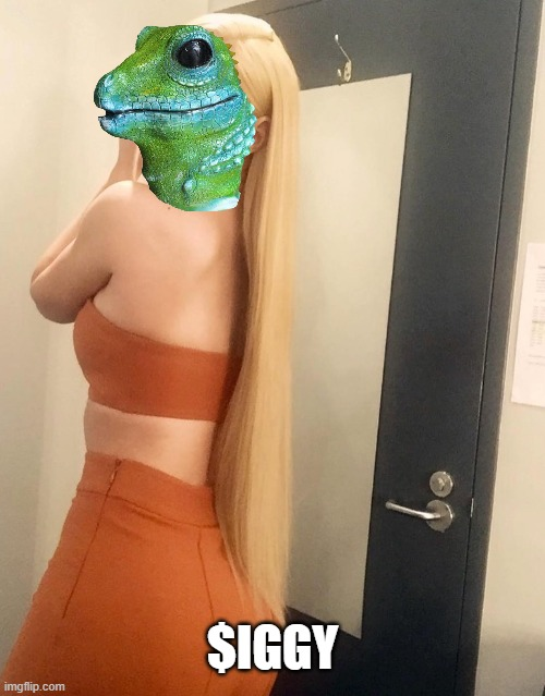 yeezycat's tweet photo. @IGGYAZALEA First things first, I'm the realest. 

$MOTHER SUPPORT $IGGY 

J7u7Zhhz4hHpM1tAHjrusUum5bupCBXvXHFcNkwZRH39

#Sol #Memecoins https://t.co/fPml2fERaH