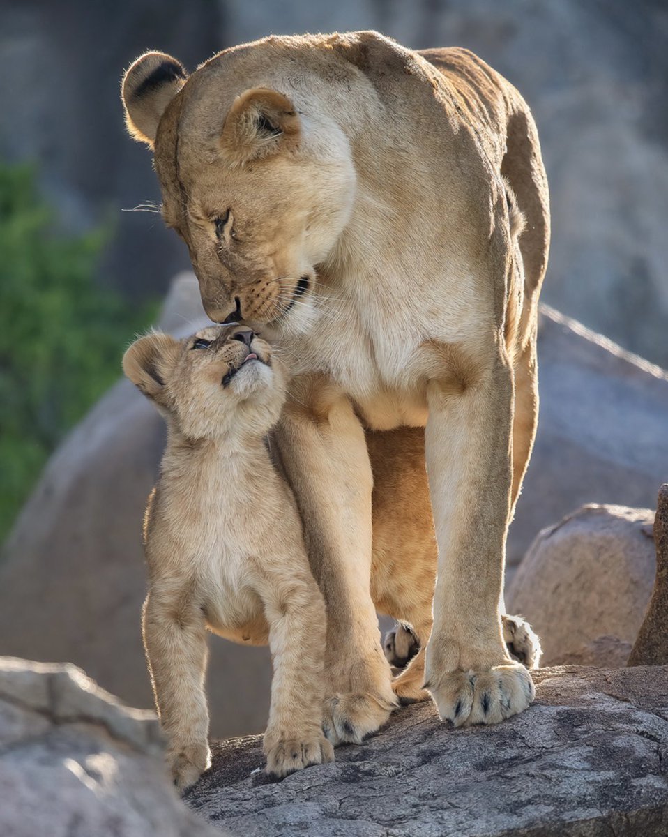 Love You . . .🧡

📸 © Steve Perry 
— Backcountry Gallery