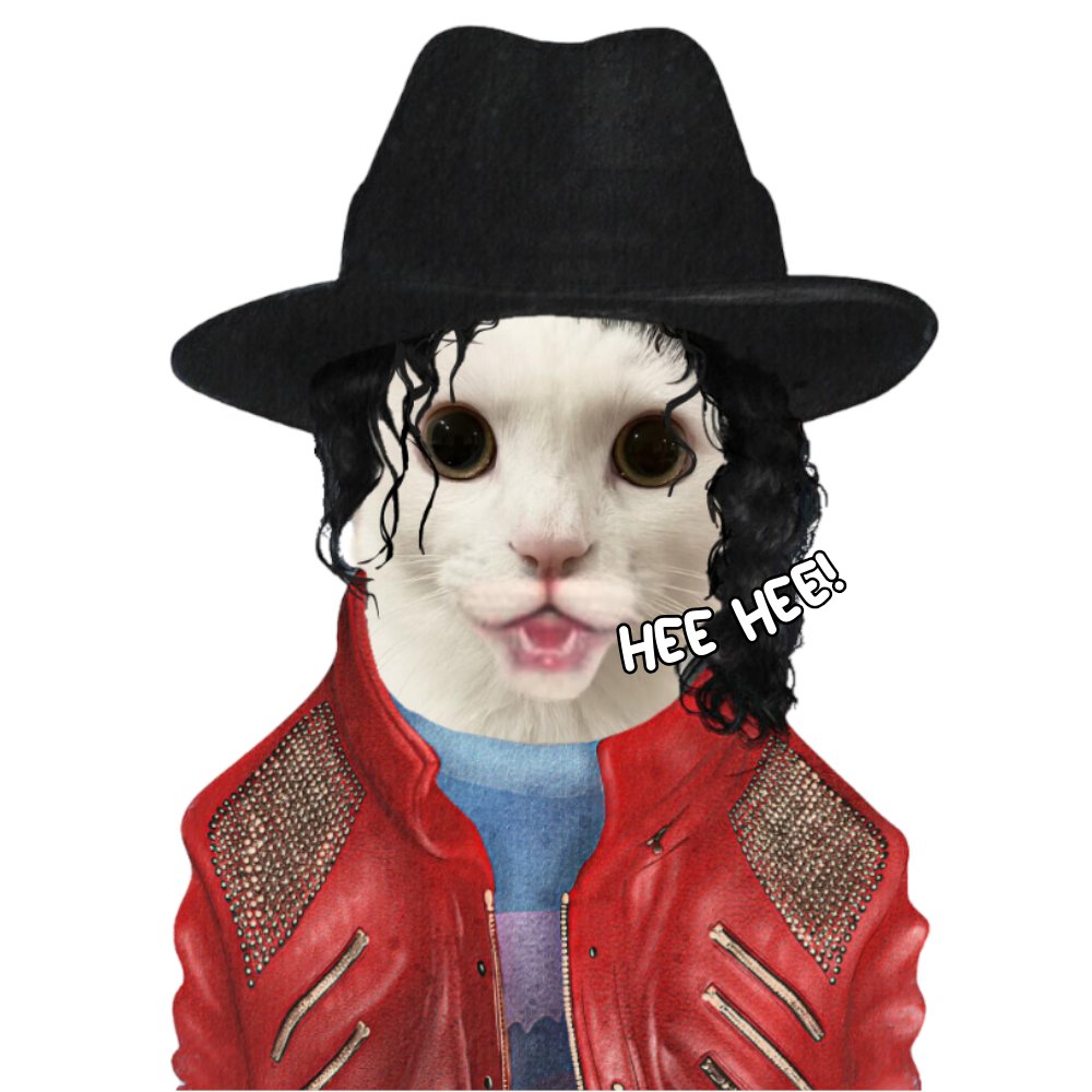 MeowchaelCatson's tweet photo. @Crypto_Sisters HEE HEE $CATSON https://t.co/EtIhM35BUa