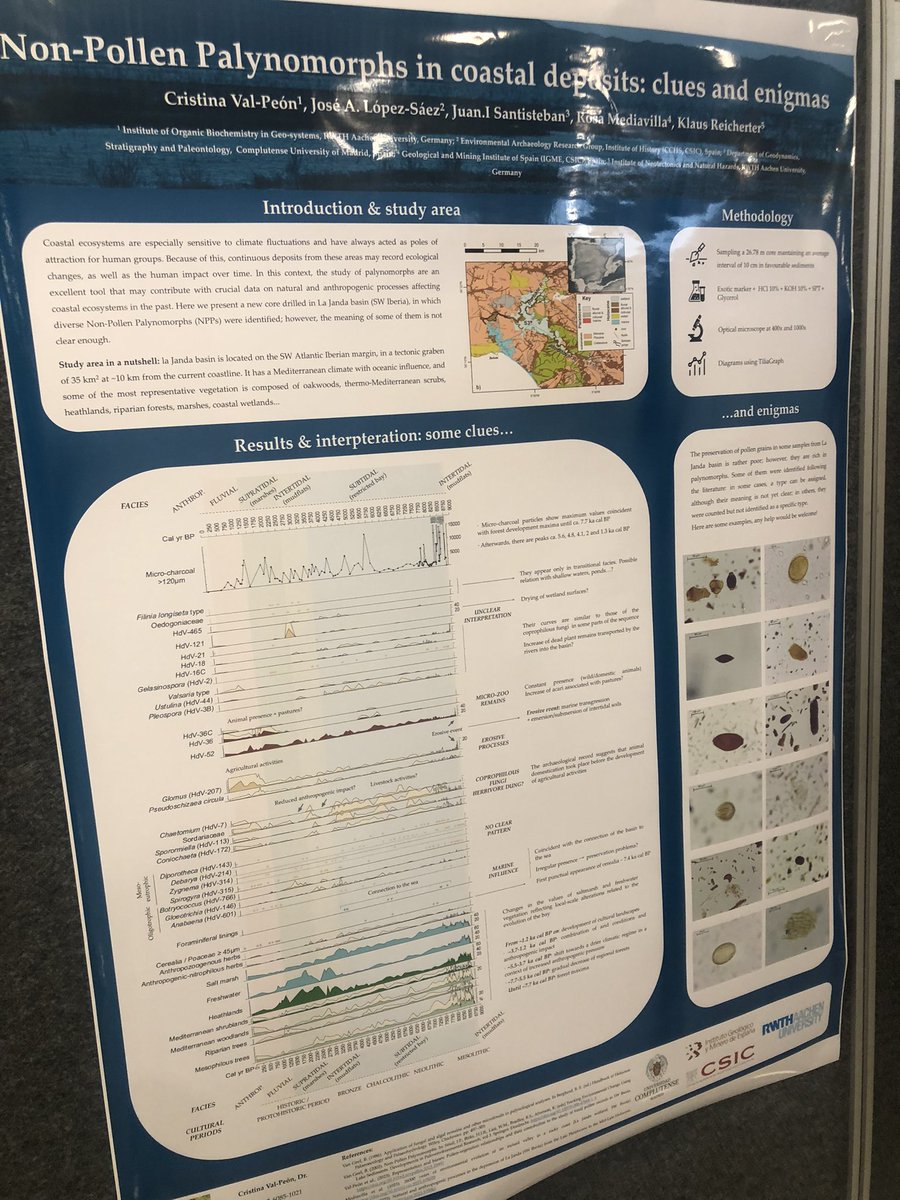 @IPCIOPC2020 @CarinaHoorn @theamazonwewant @JbriJames We are passed now the equator of this @IPCIOPC2020 Congress & I must say, it’s being so rewarding. Plenty of super cool talks on automated & digital palynology, new markers, application of #palynology to restoration of islands, colonisation processes and of course, the tropics!!