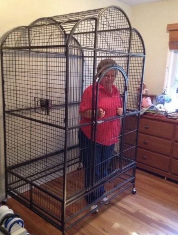 theABinKC's tweet photo. meemaw stays in the cage until the chiefs organization goes an entire month without an off field incident https://t.co/iU5Fc6zSFs