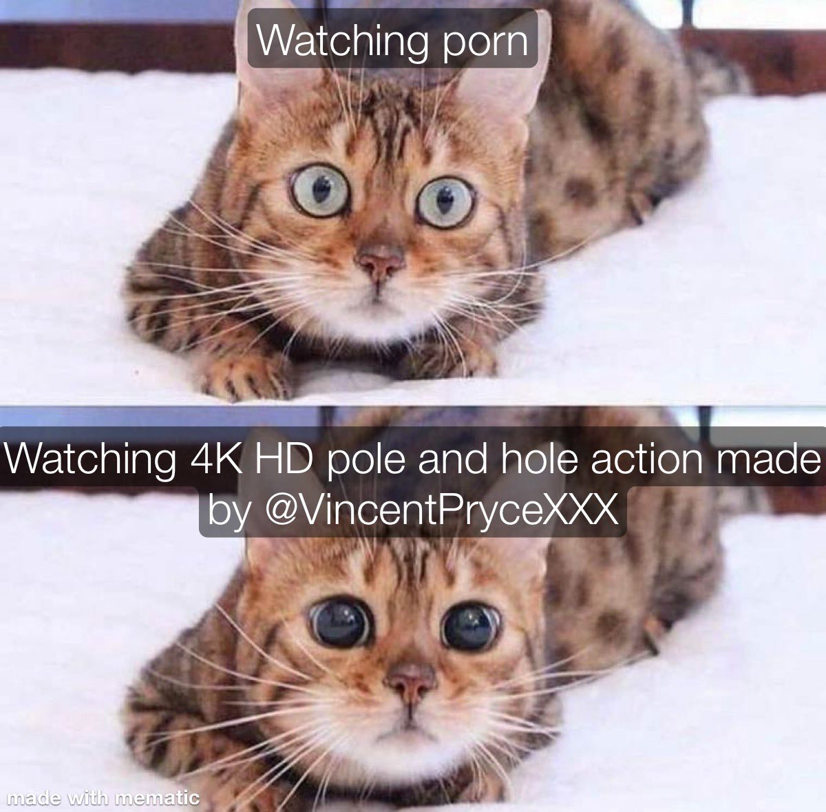Content from carnalcouplefree