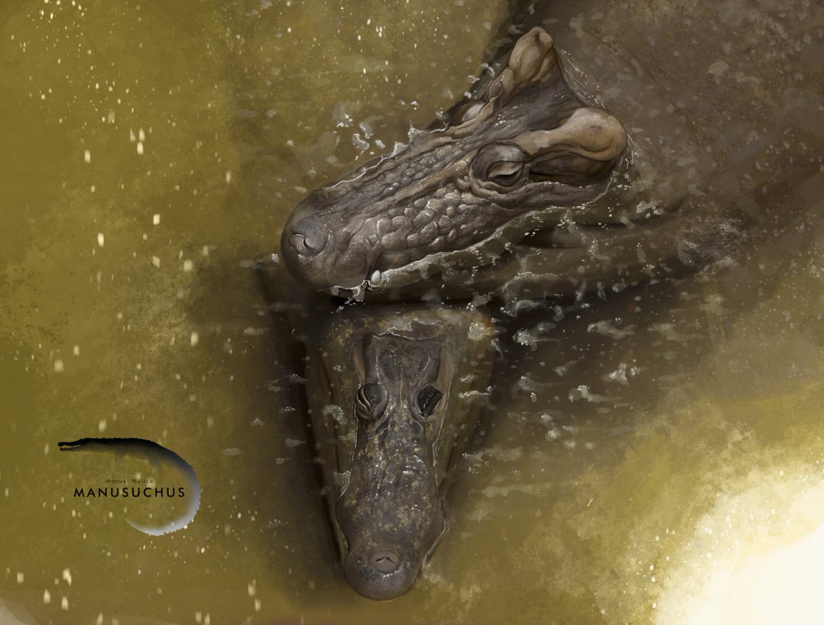 A male Voay robustus rests with a female C. niloticus during the breeding season about 1000 years ago.
He´s blissfully unaware that he is the last member of his species, but that's okay.
What's extinction compared to the love of a lady and the warm rays of the sun on your face?