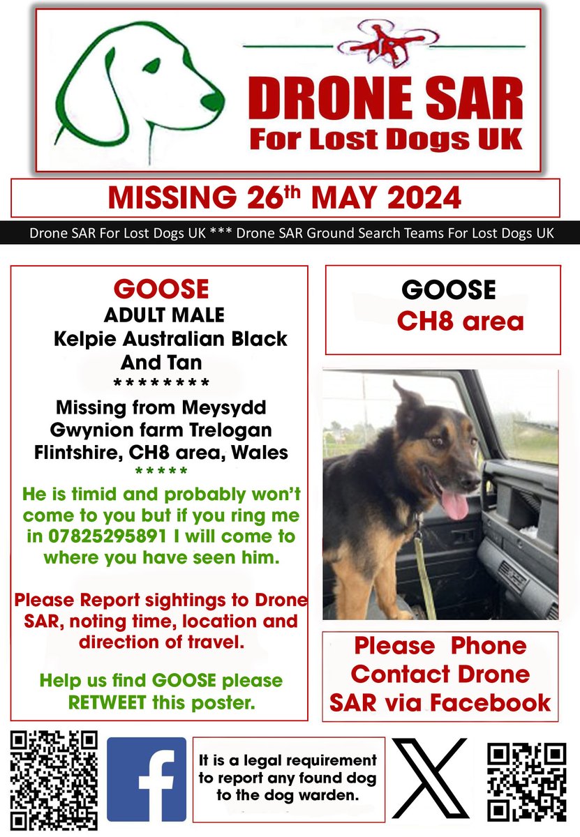 #LostDog #Alert GOOSE Male Kelpie Australian Black And Tan (Age: Adult) Missing from Meysydd Gwynion farm Trelogan Flintshire, CH8 area, Wales on Sunday, 26th May 2024 #DroneSAR #MissingDog