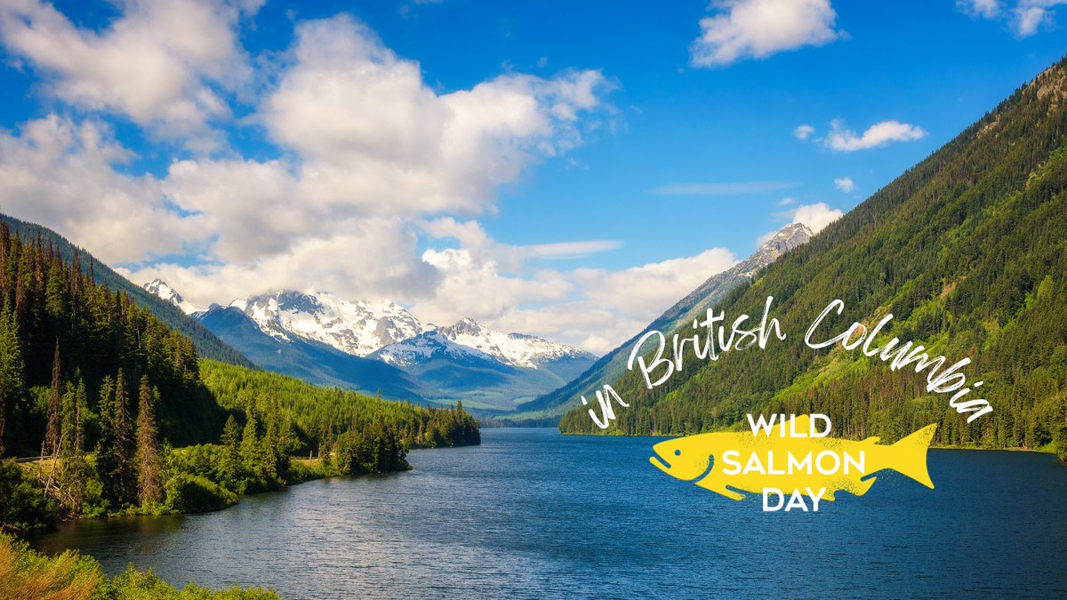Thank you to the Government of British Columbia for proclaiming June 1 Wild Salmon Day! #WildSalmonDay is an opportunity to raise awareness about the important role Pacific salmon play in our communities, cultures, ecosystems, and economy. PSF.ca/wildsalmon