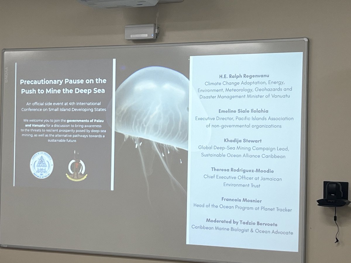 Impassioned called by Khadija Stewart from Sustainable Ocean Alliance Caribbean - ppl are claiming deep sea mining is for the benefit of “everyone” but who is that everyone? It’s not us, the young people working to save our ocean.