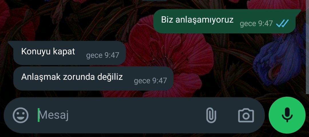 aşk böyle bir şey mi ya