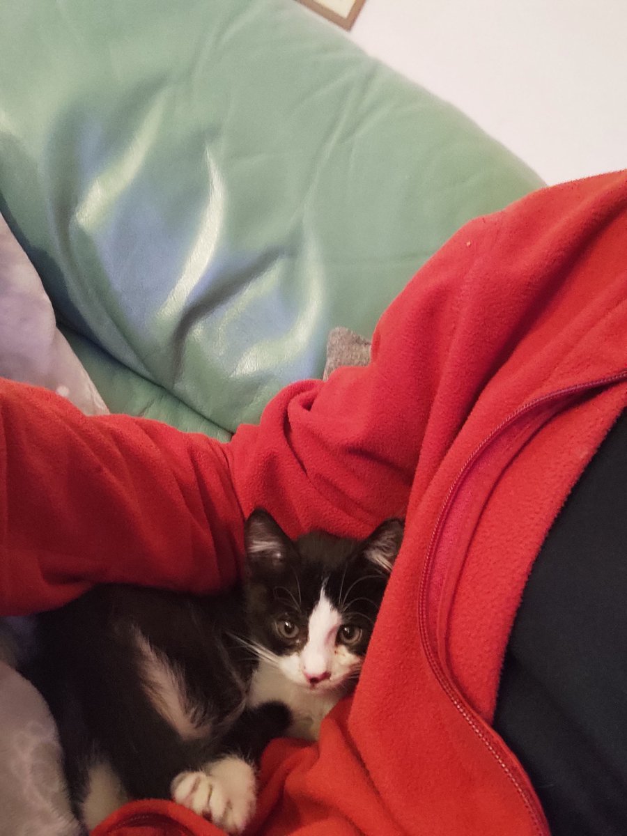 Gianni 🦂 tweet media