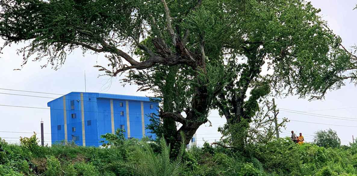 নড়াইলে মরদেহ উদ্ধার করেছে হাইওয়ে পুলিশ