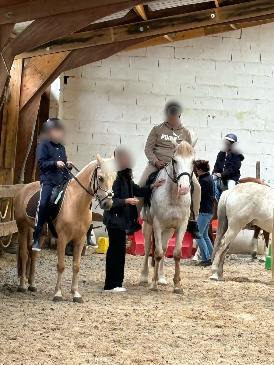 Mardi dernier, nos élèves de 6eme #segpa sont partis faire de l’équitation 🐴! Une belle expérience pour développer l’estime de soi, la confiance, la persévérance et l’entraide ⭐️ #climatscolaire