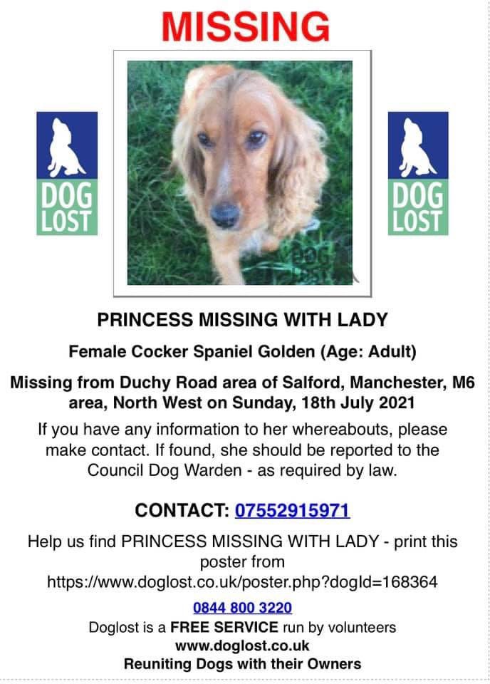 #SpanielHour 2 SPANIELS MISSING Duchy Road, area #Salford #Manchester #M6 18/7/21 Never seen/never scanned LADY female/adult gold #CockerSpaniel CHIPPED doglost.co.uk/dog-blog.php?d… PRINCESS female/adult gold #cocker white mark across top of head CHIPPED doglost.co.uk/dog-blog.php?d…