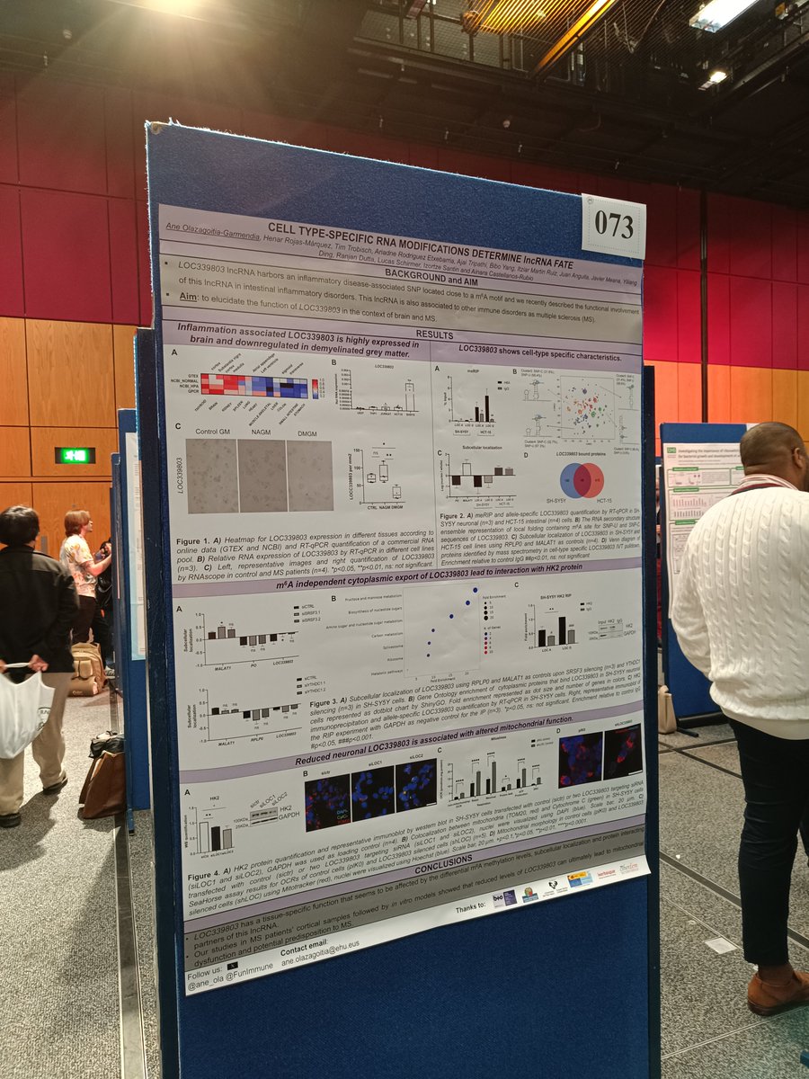 AneOlaGa tweet media