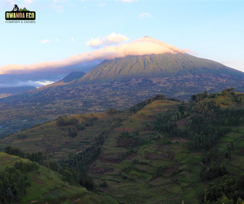 Plan a volcano hike to conquer Rwanda's famous Volcanoes, Karisimbi at 4,507m, Mt Muhabura at 4,127m and Mt Bisoke at 3,711m for panoramic views across Rwanda, Uganda and DR Congo. An adventure of a lifetime that promises stunning sceneries and thrilling moments. #hikingtrip
