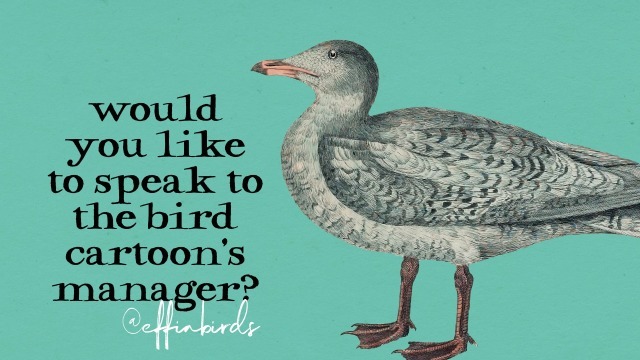 jafbcb's tweet photo. @merry123459 viki
pick 1 !
oh E-Ffin is on here photo album full of's !
WELL Hey this TWitTeR ! LoL's
So Let a "Birdie Express 1's Thoughts" !
here today's offering too
so 1 can go hit
100% be Grin Ass'in as 1's Grab Few for
keepers Folder
my's Full Folder of ! LoL's 

https://t.co/Vcu107nI6F https://t.co/qWLCnrpf41