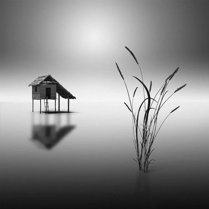 . . ©️ Vassilis Tangoulis . .