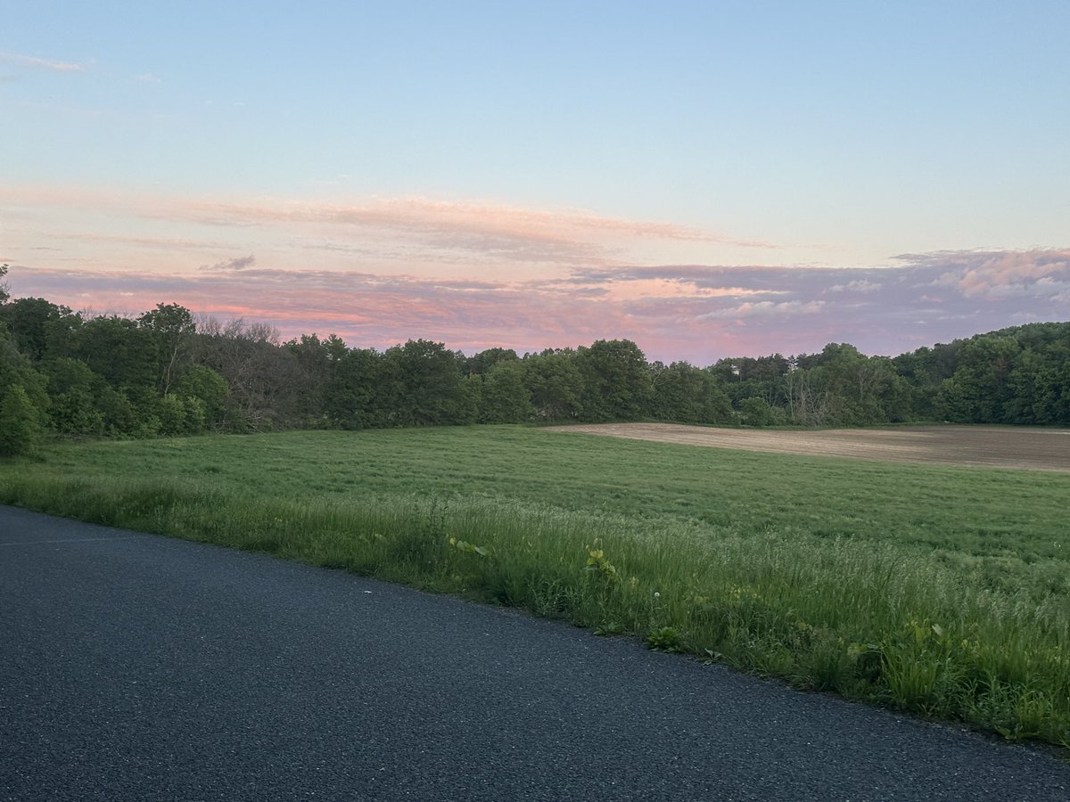 What a beautiful walk last night. 

It’s always good to get out at the end of the day to walk and let your mind release.

CC and Kesha had their spa day yesterday too… aren’t they pretty!🩷