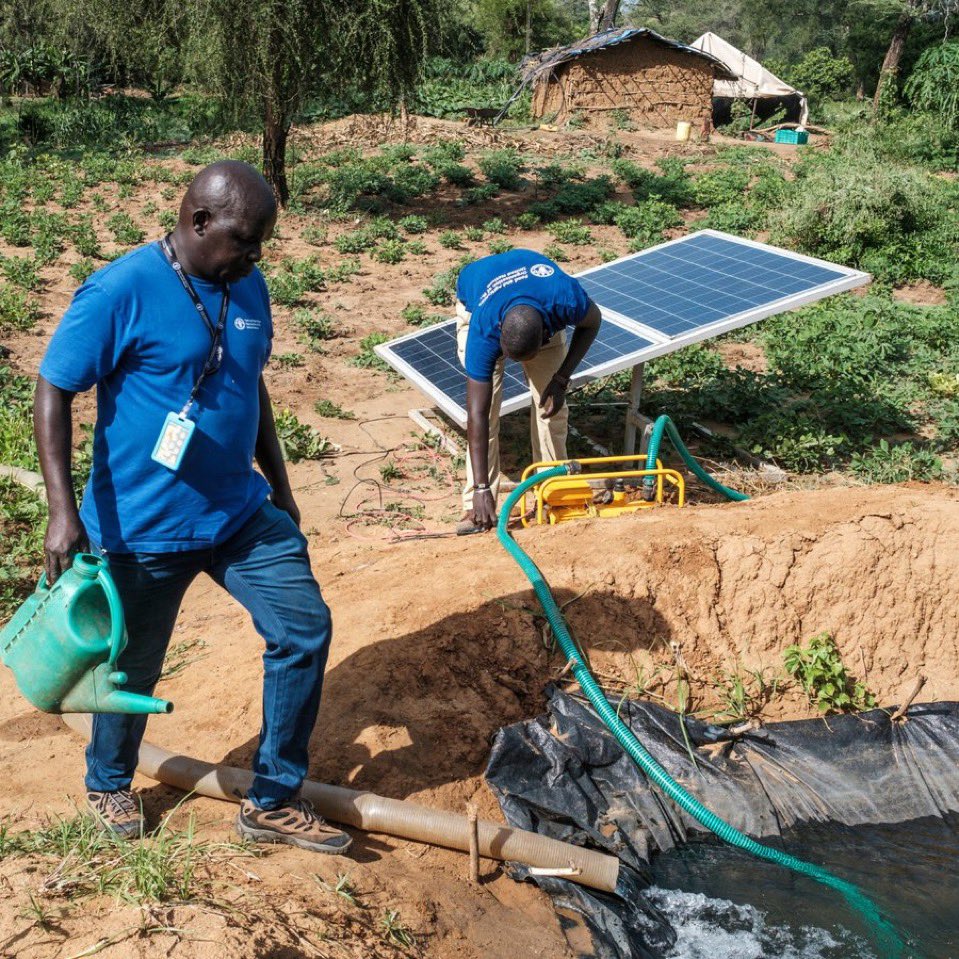 .@FAO’s Energy Team Leader, Michela Morese joins the @g20org Energy Transitions Working Group in Brazil

For FAO, a #justtransition means leaving no one behind,  especially farmers & rural communities so they benefit from a sustainable agrifood system:

fao.org/energy/home/en/