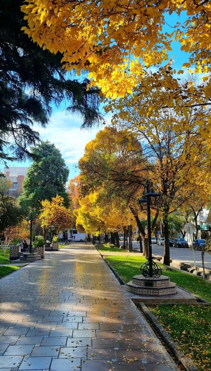 ¿Me preguntaban por el otoño en Mendoza?