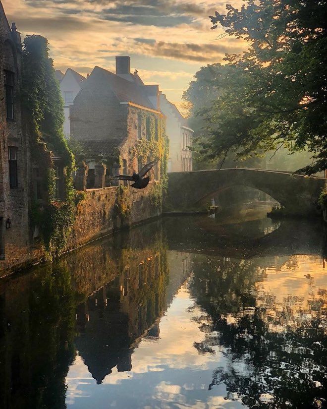 Magical Morning at Bruges, Belgium 🇧🇪 by Unknown
#bruges #Belgium #morning #art