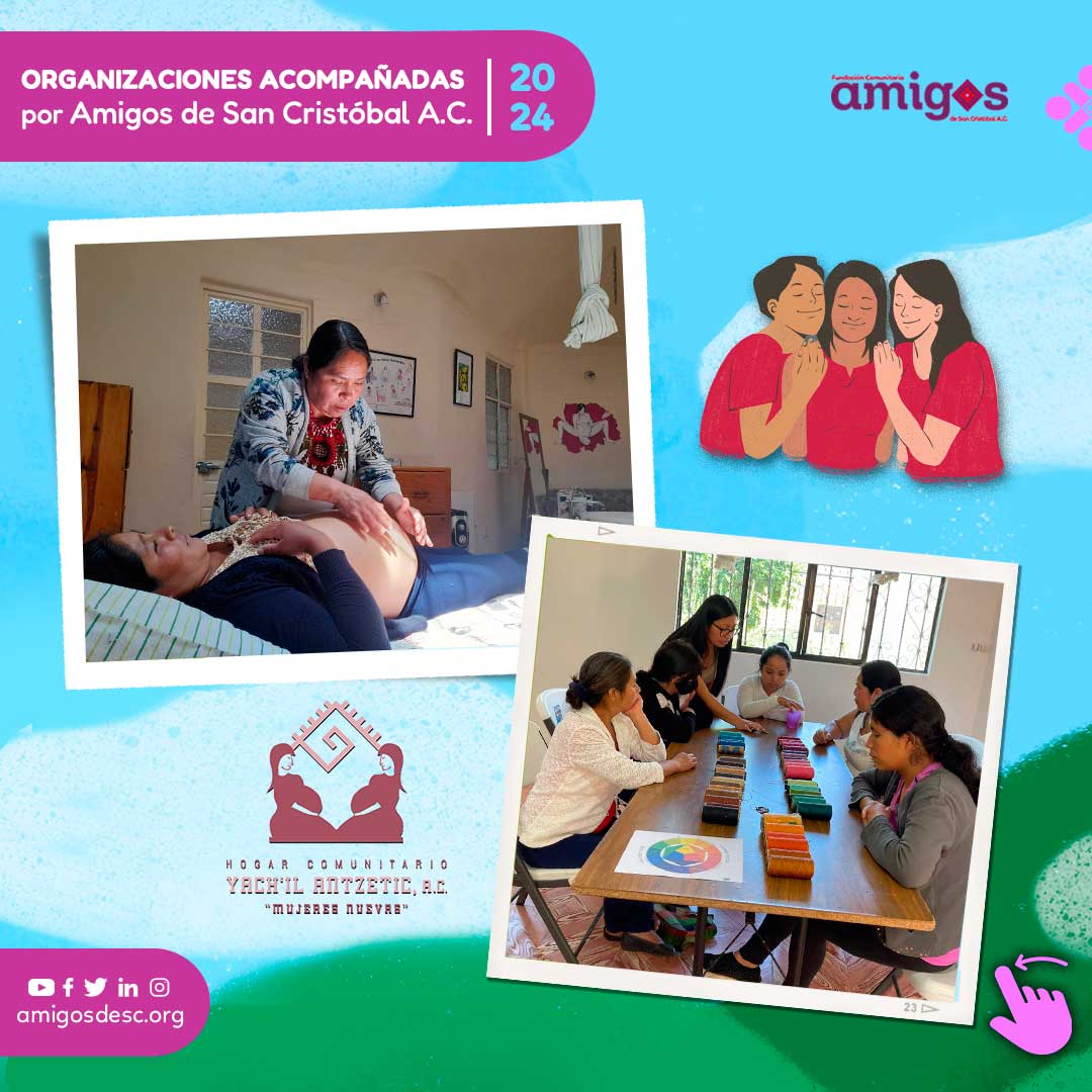 Amigos de San Cristóbal A.C tweet media