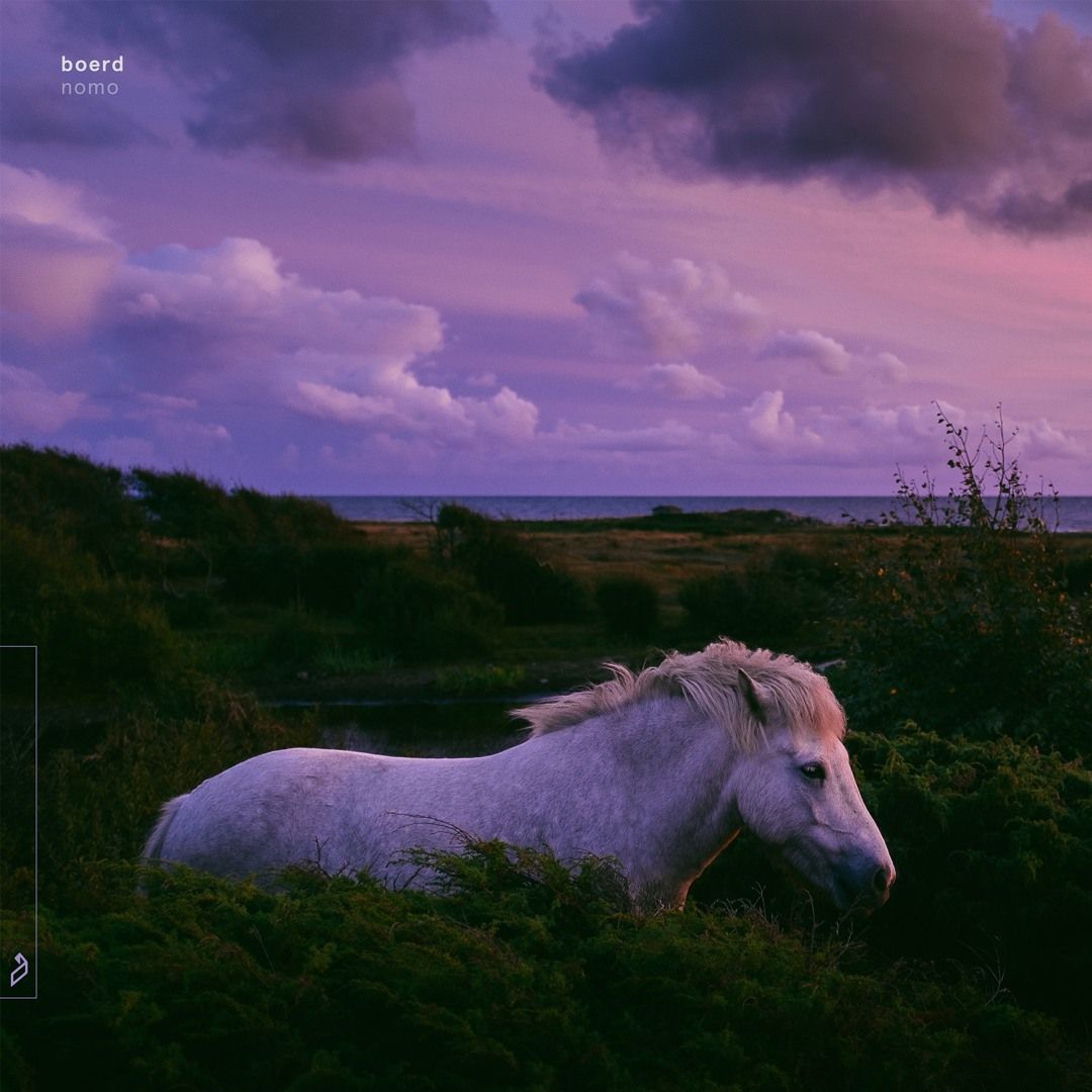 Smooth Chill tweet media