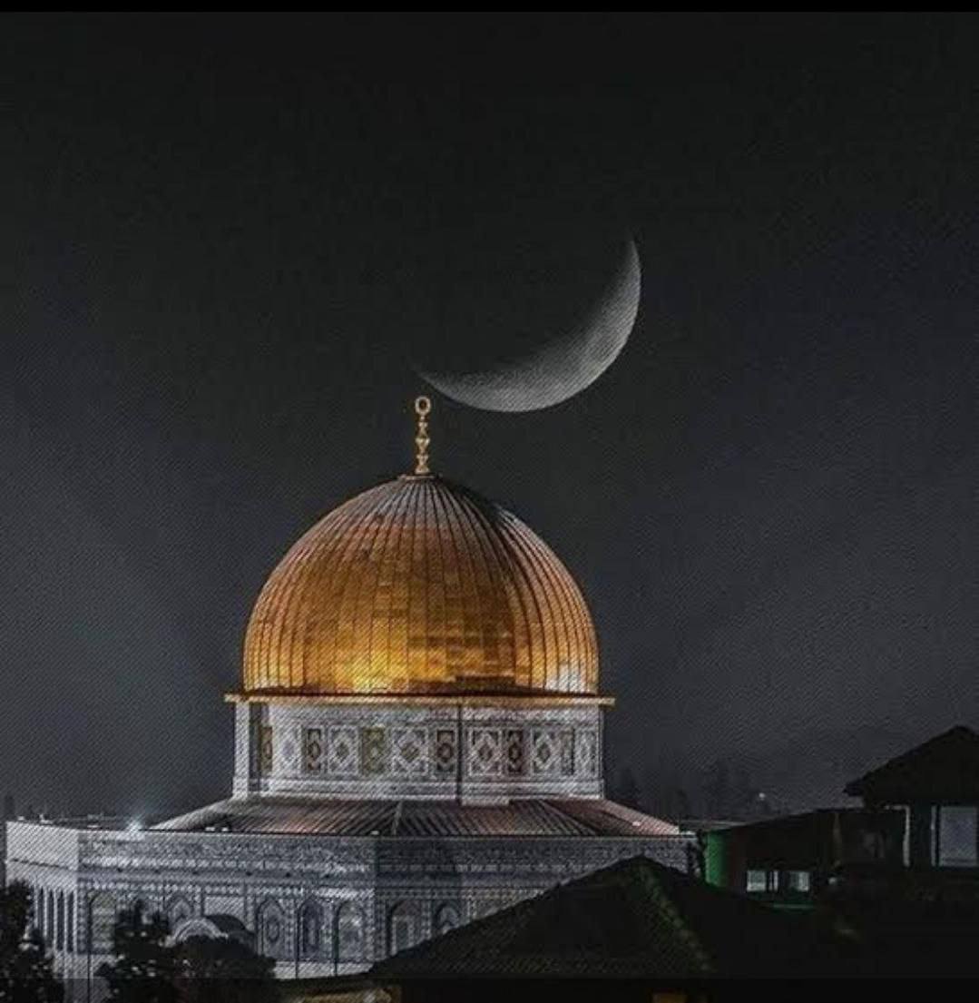 GECEYE BİR SÖZ 🌙

Geceleri rüyalarında Mescid-i Aksa'yı göremeyenler,
Gündüzlerde  Mescid-i Aksa'yı kurtaramazlar.
#GazzedeÇocuklarÖldürülüyor
#FilistinBizimDavamız
#KatilSürüsüİsrail
#GazzeOnFire 
#israilterörü
#GazzeyeAcilYardım 
#gazze