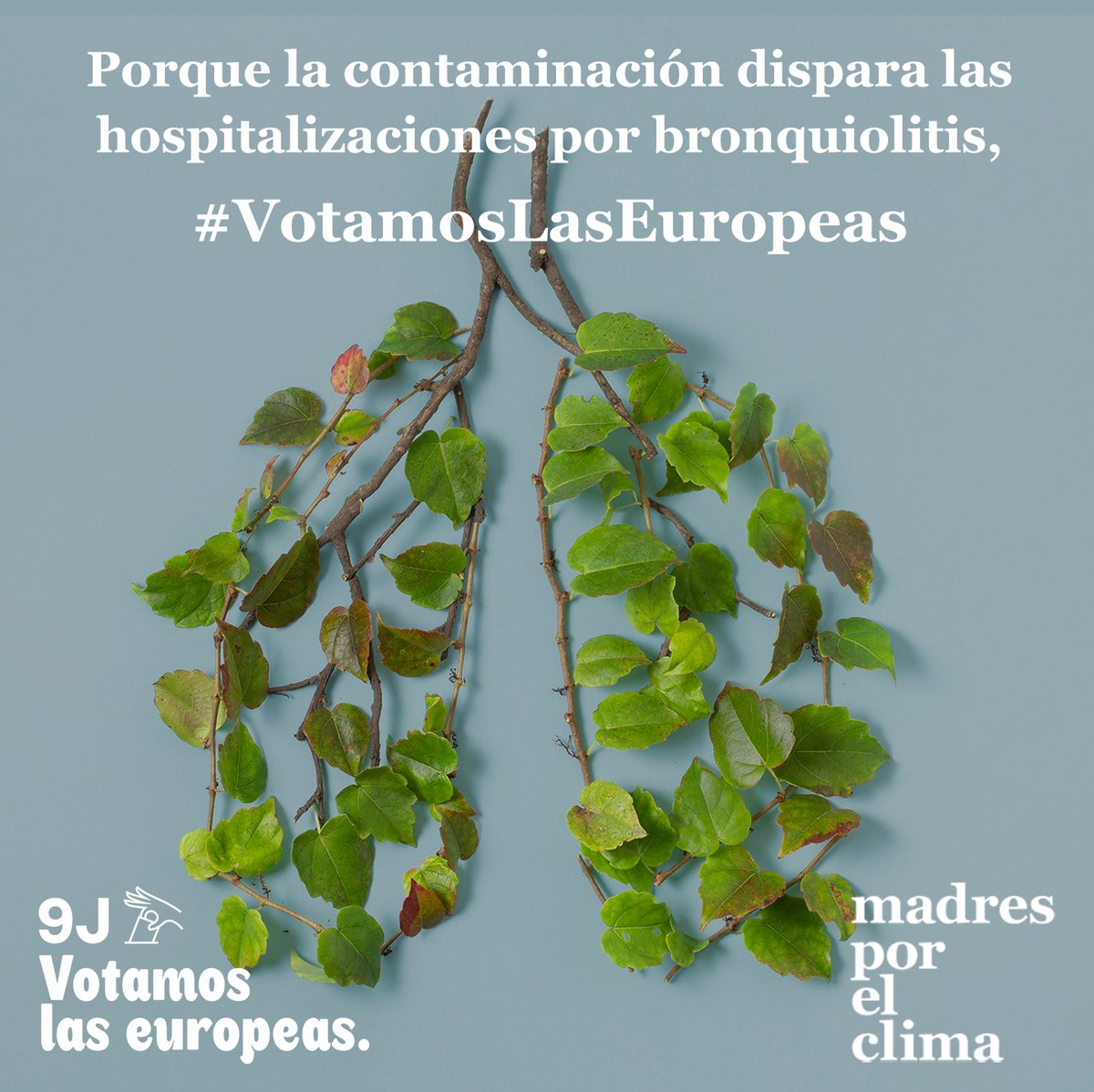 Si te preocupa la contaminación, 💨
este 9 de junio tenemos que votar a todo pulmón. 🗳️

Por una Europa verde y respirable ​🇪🇺​
#VotamosLasEuropeas 💚
laseuropeas.org