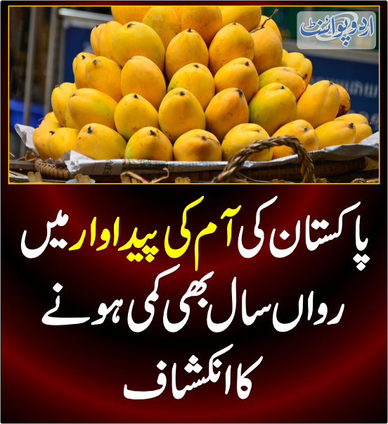 DailyUrduPoint's tweet photo. خبر کی مزید تفصیل جانئیے
https://t.co/T6dZAGRMbO
#MangoProduction #PakistanEconomy #PakistanMango https://t.co/T7aIh9Y2PS