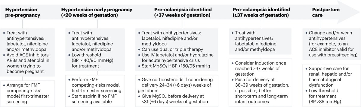 Treatment algorithm for pregnancies presenting with #hypertension.
#FOAMed #Nephpearls 
🔗 nature.com/articles/s4157…