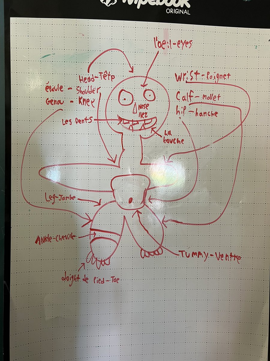 leshawks's tweet photo. lovely students focusing on achieving their language learning goals! In their words: “In case of an emergency abroad, I can get help.” Here’s hoping they won’t end up in such situations! #safetyplanning #collaboration #gentillesse #apprentissageauthentique #visiblelearning https://t.co/XTPll7zkKi