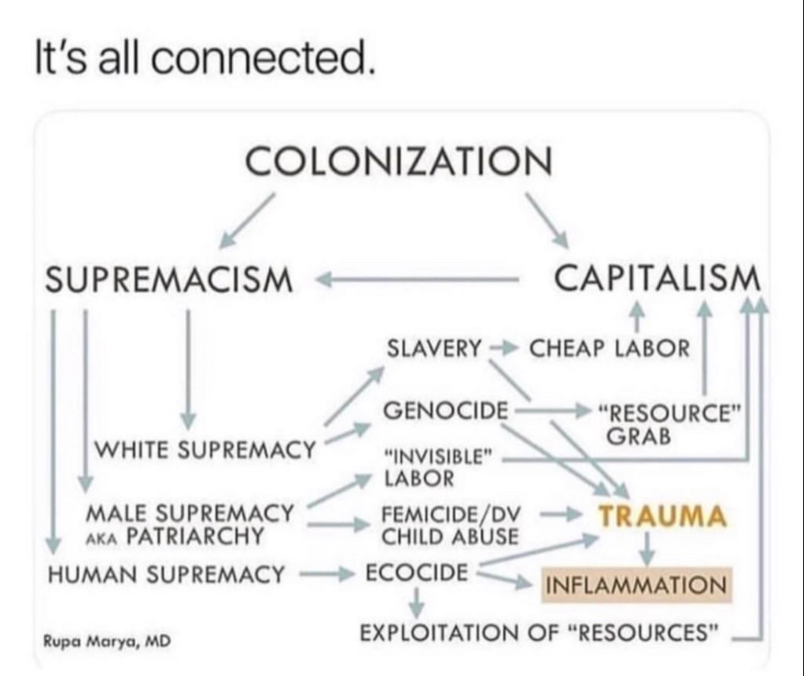 ⬇️  Colonisation  ⬇️ 
Supremacism ⬅️ Capitalism

✡️Zionism:
White supremacy = European settlers to Palestine ➡️ Slavery ➡️ Cheap labour

Human supremacy = Chosen by God over native peoples ➡️ Ecocide ➡️ Exploitation of resources