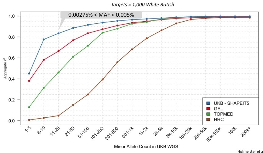 Robin Hofmeister tweet media