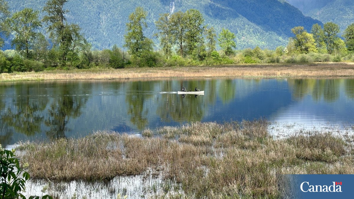 The Pitt-Addington Marsh supports wildlife, and soon it could support salmon too! We’re mapping it to see if it can be reconnected to the Pitt River, creating new fish habitat. Learn more about our stewardship work:
ow.ly/pUvC50RYQ6C