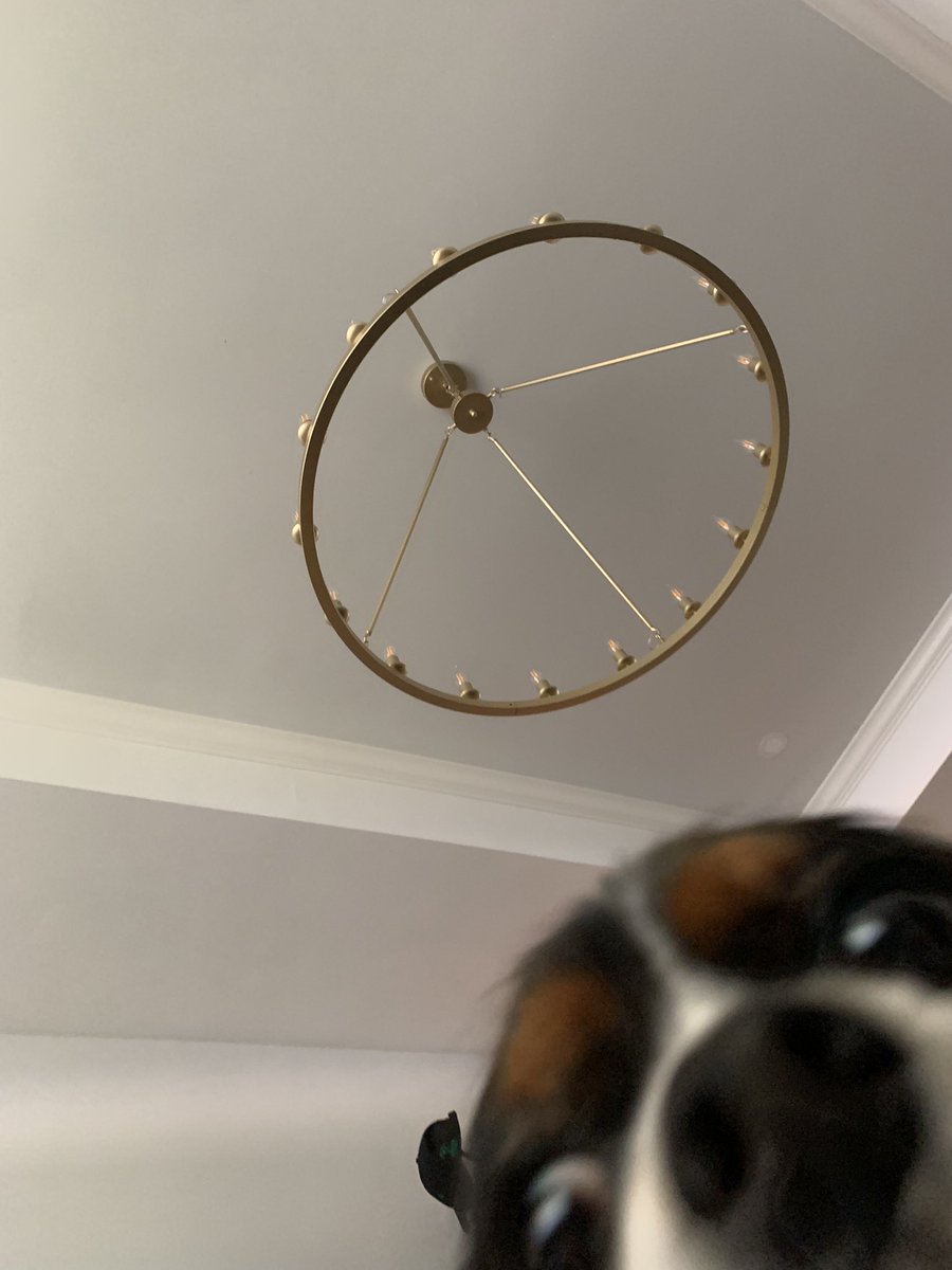 Jonathan Tene tweet media