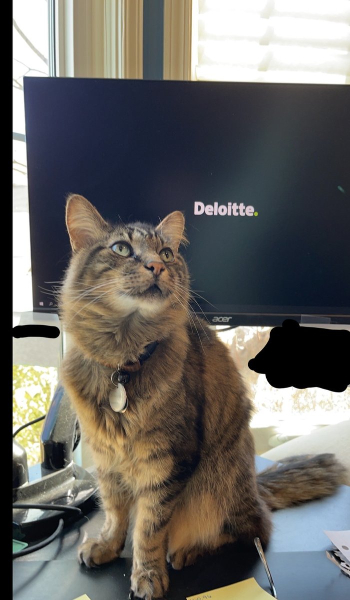 💚 That's a wrap on #NationalPetMonth! From fur to feathers to scales, we've loved celebrating the diverse pets within our extended Deloitte community. Thanks for joining us in honoring our pet family. Keep those adorable pet moments coming!
