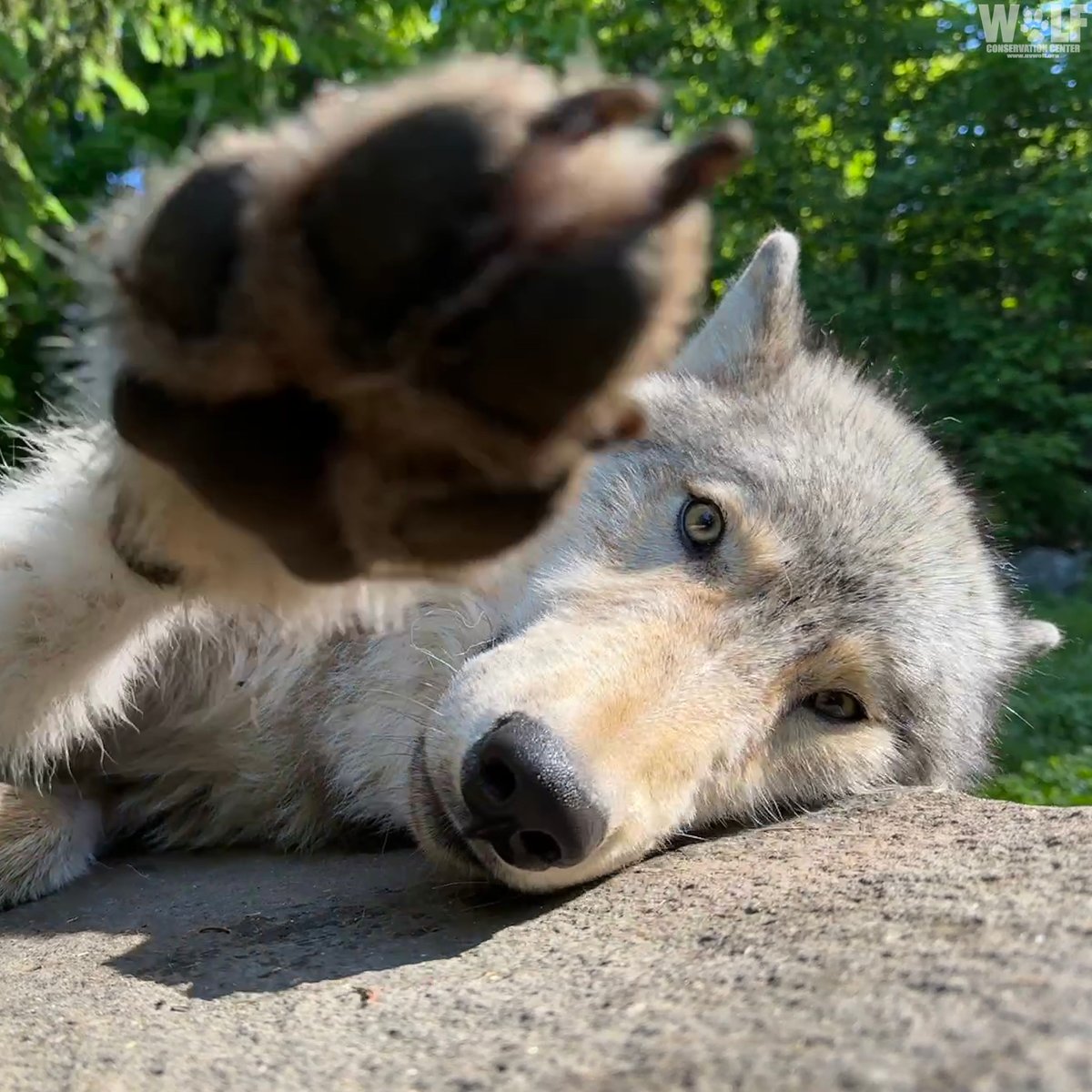 Hitting snooze on the alarm in 3... 2... 1... 😴