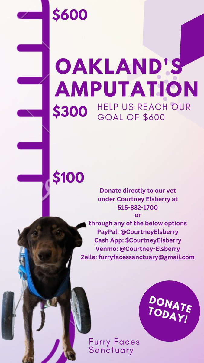 Furry Faces Sanctuary tweet media