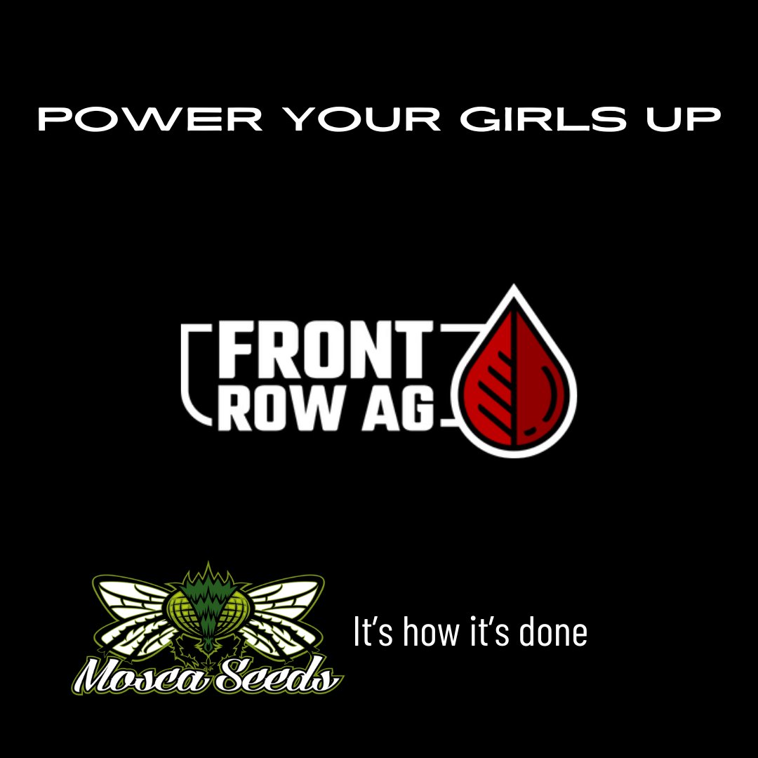 MoscaSeeds's tweet image. Breed-n-Feed.  OPTIMIZED
NUTRITION from Front Row Ag
We power our girls with Front Row!
frontrowag.com
#moscaseeds
#growyourown
#howtogrow
#cannabisseeds
#cannabiscultivation
#FrontRowAg