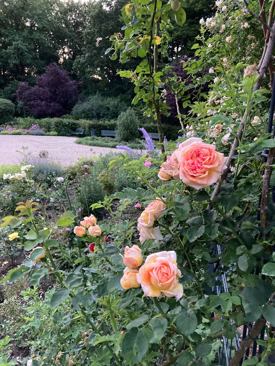 j2bryson's tweet image. #postWork (yesterday) #berlin