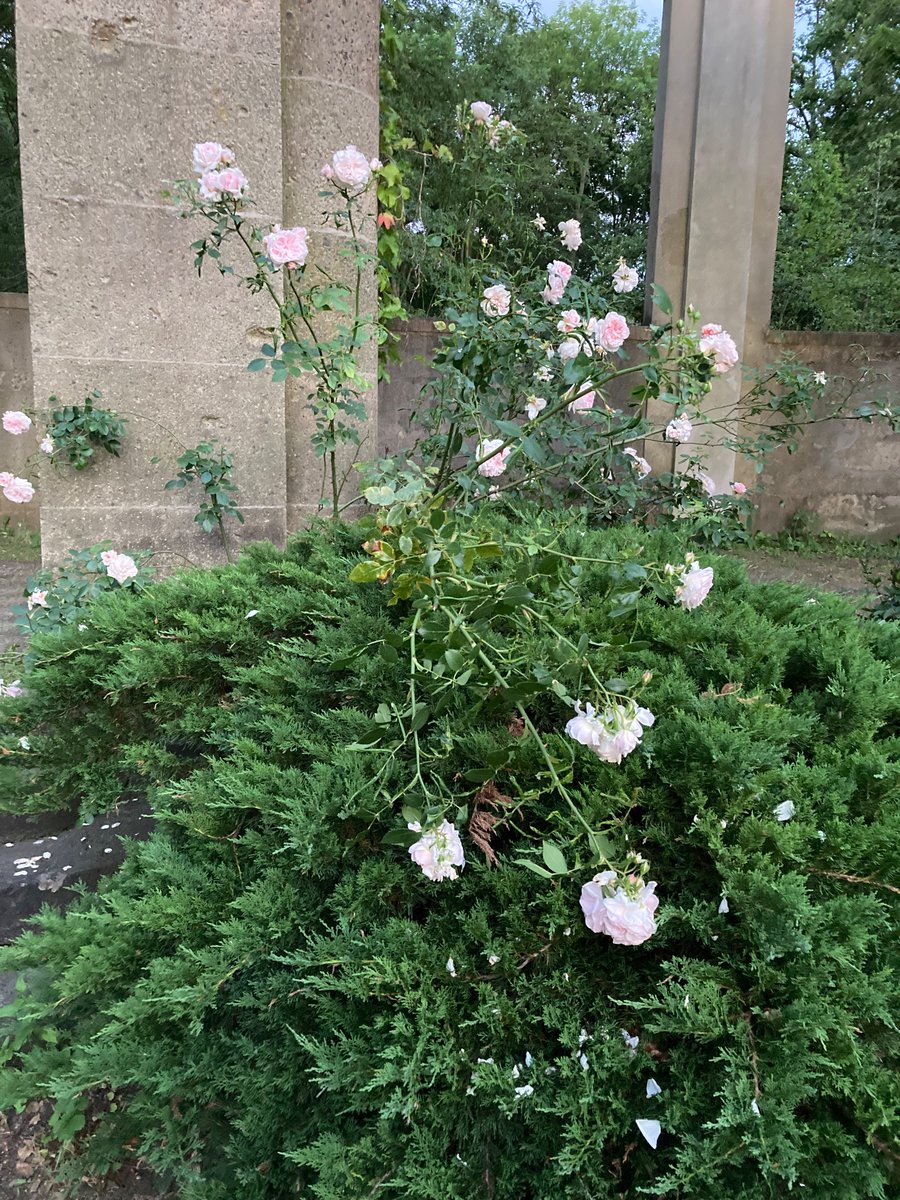 j2bryson's tweet image. #postWork (yesterday) #berlin