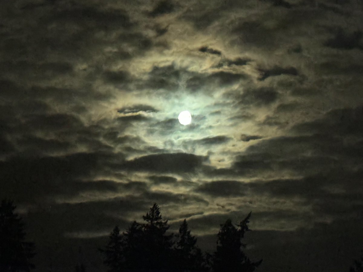 Nancy Bush tweet media