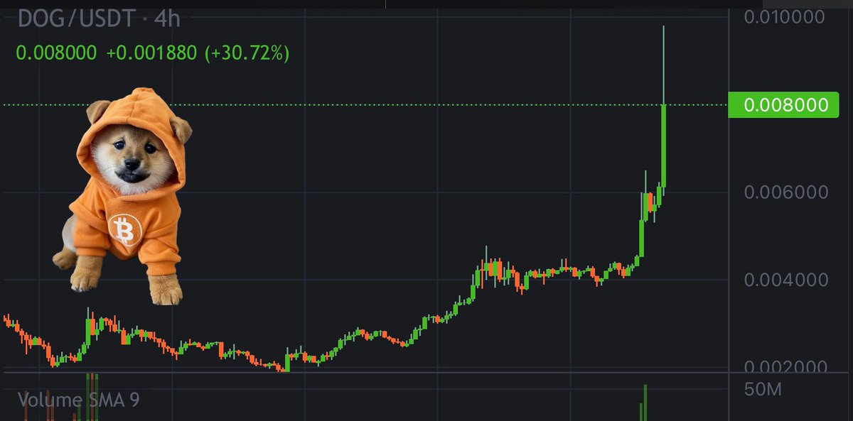 $DOG hit $0.008 You are not ready May 29, 2024