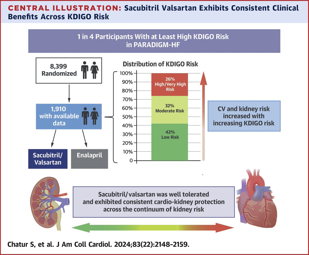 New from #PARADIGMHF: #ARNI exhibits consistent safety and efficacy across the continuum of #KDIGO kidney risk: bit.ly/4aEOem3 #JACC #CKD #HeartFailure #HFrEF @safchat @scottdsolomon @iebeldhuis @mvaduganathan @UoGHeartFailure