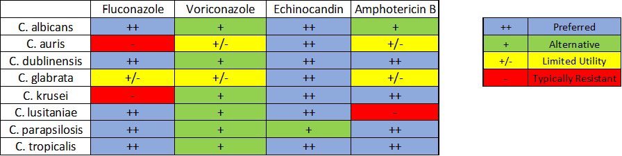 Antifungal coverage 👍