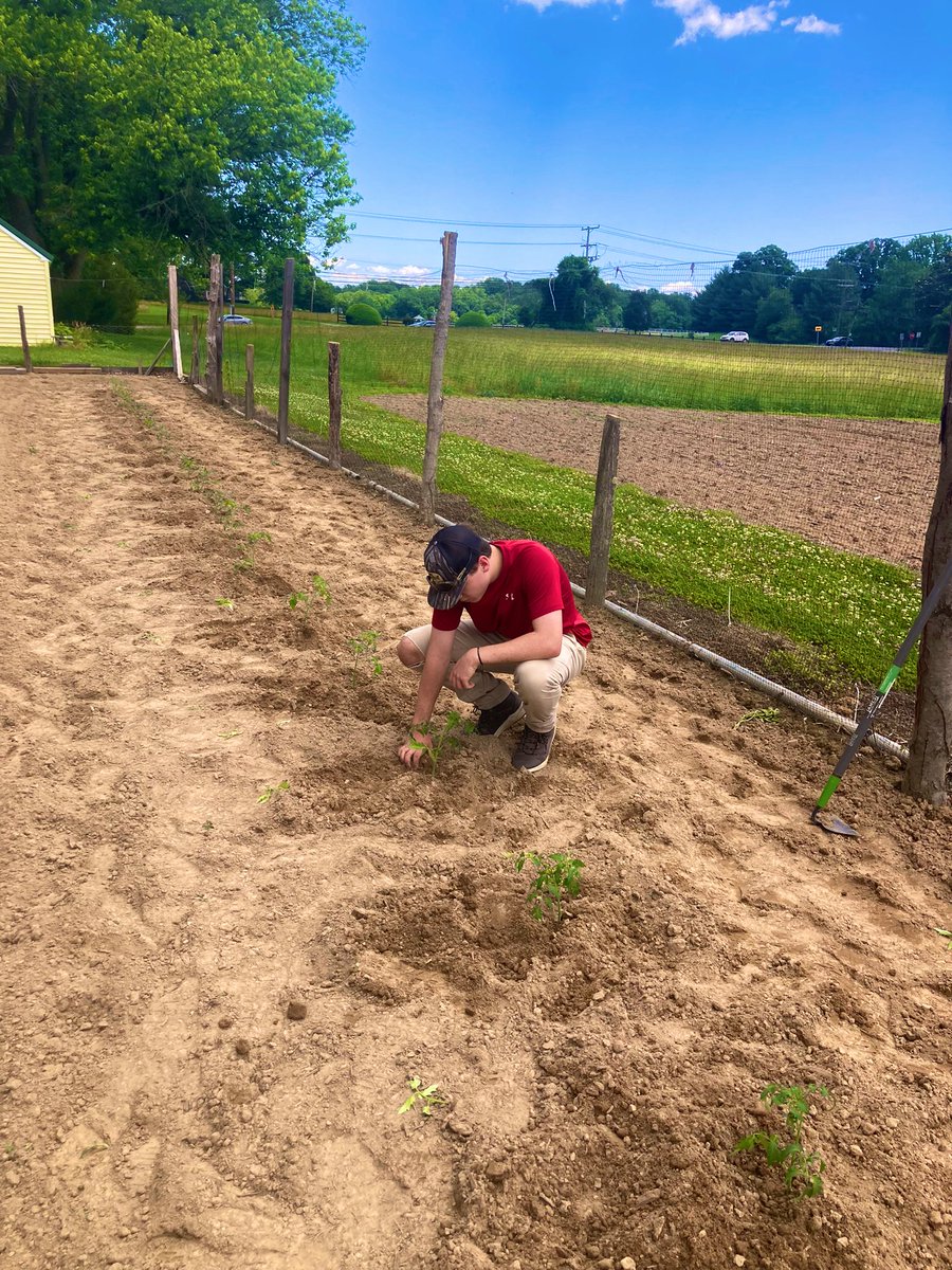 yourmainmandev's tweet photo. Very successful day on the farm this afternoon, I got the first row of tomatoes planted of the season and fertilized before the storms rolled in. #smallscalefarmer @HarvestTyme_ https://t.co/5tPJJyd18U
