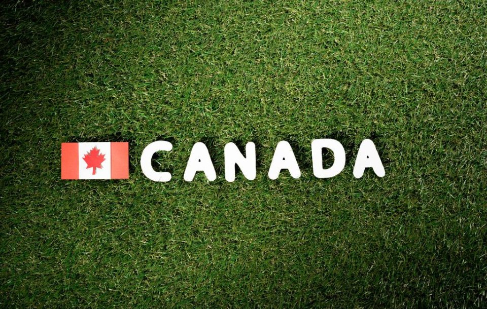 PNP vs. Express Entry: ¿Cuál estrategia de inmigración en Canadá que debes elegir?🛬🇨🇦

Ventajas y desventajas de aceptar una nominación provincial en Canadá🗂️​📑​✒️

Conoce más acá⬇️⬇️⬇️

torontohispano.com/publicacion/pn…