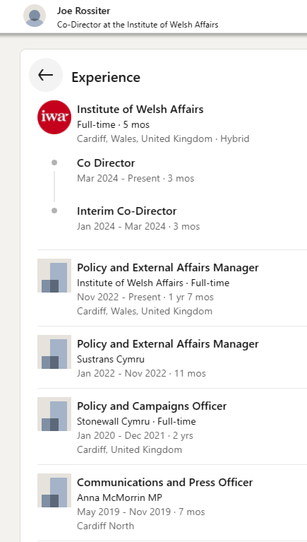 This is what the CV of a Corruption Bay insider looks like. Serving nobody but the Labour party. Yet all the while pretending to provide wider benefits
