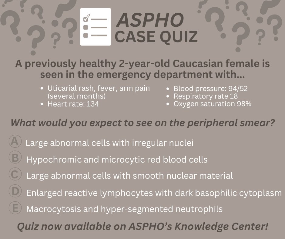 How would you diagnose this #PedsHemeOnc patient? 
Let us know in the comments and check back tomorrow for the answer! 

Can’t wait? Click the link for the full quiz: tinyurl.com/48buht29

#AmyJohnson #KarenLewing <a href="/ChildrensMercy/">Children's Mercy</a>
#PHODocs #PHOAPPs #AprileNews
